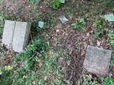 image of grave number 845410
